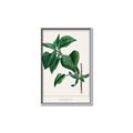 Picture of Nostalgic Green Lilac Leaves _GroupedProduct_Rectangle_Portrait_Canvas_Framed_