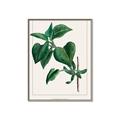 Picture of Nostalgic Green Lilac Leaves _GroupedProduct_Rectangle_Portrait_Canvas_Framed_