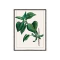 Picture of Nostalgic Green Lilac Leaves _GroupedProduct_Rectangle_Portrait_Canvas_Framed_