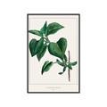 Picture of Nostalgic Green Lilac Leaves _GroupedProduct_Rectangle_Portrait_Canvas_Framed_