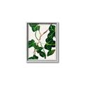Picture of Nostalgic Green Murgrona Leaves _GroupedProduct_Rectangle_Portrait_Canvas_Framed_