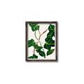 Picture of Nostalgic Green Murgrona Leaves _GroupedProduct_Rectangle_Portrait_Canvas_Framed_
