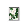 Picture of Nostalgic Green Murgrona Leaves _GroupedProduct_Rectangle_Portrait_Canvas_Framed_
