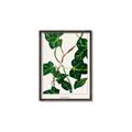 Picture of Nostalgic Green Murgrona Leaves _GroupedProduct_Rectangle_Portrait_Canvas_Framed_
