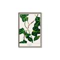 Picture of Nostalgic Green Murgrona Leaves _GroupedProduct_Rectangle_Portrait_Canvas_Framed_