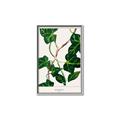 Picture of Nostalgic Green Murgrona Leaves _GroupedProduct_Rectangle_Portrait_Canvas_Framed_