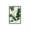 Picture of Nostalgic Green Murgrona Leaves _GroupedProduct_Rectangle_Portrait_Canvas_Framed_