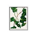 Picture of Nostalgic Green Murgrona Leaves _GroupedProduct_Rectangle_Portrait_Canvas_Framed_