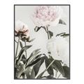 Picture of Romantic Blur Peony V _GroupedProduct_Rectangle_Portrait_Photography _GroupedProduct_Rectangle_Portrait_Canvas_Framed_