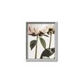 Picture of Romantic Blur Peony IV _GroupedProduct_Rectangle_Portrait_Photography _GroupedProduct_Rectangle_Portrait_Canvas_Framed_