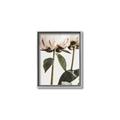 Picture of Romantic Blur Peony IV _GroupedProduct_Rectangle_Portrait_Photography _GroupedProduct_Rectangle_Portrait_Canvas_Framed_