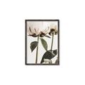 Picture of Romantic Blur Peony IV _GroupedProduct_Rectangle_Portrait_Photography _GroupedProduct_Rectangle_Portrait_Canvas_Framed_