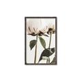 Picture of Romantic Blur Peony IV _GroupedProduct_Rectangle_Portrait_Photography _GroupedProduct_Rectangle_Portrait_Canvas_Framed_