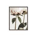 Picture of Romantic Blur Peony IV _GroupedProduct_Rectangle_Portrait_Photography _GroupedProduct_Rectangle_Portrait_Canvas_Framed_