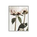 Picture of Romantic Blur Peony IV _GroupedProduct_Rectangle_Portrait_Photography _GroupedProduct_Rectangle_Portrait_Canvas_Framed_