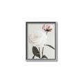 Picture of Romantic Blur Peony III _GroupedProduct_Rectangle_Portrait_Photography _GroupedProduct_Rectangle_Portrait_Canvas_Framed_