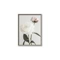 Picture of Romantic Blur Peony III _GroupedProduct_Rectangle_Portrait_Photography _GroupedProduct_Rectangle_Portrait_Canvas_Framed_