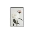 Picture of Romantic Blur Peony III _GroupedProduct_Rectangle_Portrait_Photography _GroupedProduct_Rectangle_Portrait_Canvas_Framed_
