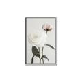 Picture of Romantic Blur Peony III _GroupedProduct_Rectangle_Portrait_Photography _GroupedProduct_Rectangle_Portrait_Canvas_Framed_