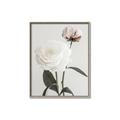 Picture of Romantic Blur Peony III _GroupedProduct_Rectangle_Portrait_Photography _GroupedProduct_Rectangle_Portrait_Canvas_Framed_