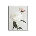Picture of Romantic Blur Peony III _GroupedProduct_Rectangle_Portrait_Photography _GroupedProduct_Rectangle_Portrait_Canvas_Framed_