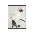 Picture of Romantic Blur Peony III _GroupedProduct_Rectangle_Portrait_Photography _GroupedProduct_Rectangle_Portrait_Canvas_Framed_