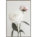 Picture of Romantic Blur Peony III _GroupedProduct_Rectangle_Portrait_Photography _GroupedProduct_Rectangle_Portrait_Canvas_Framed_
