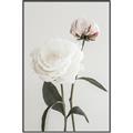 Picture of Romantic Blur Peony III _GroupedProduct_Rectangle_Portrait_Photography _GroupedProduct_Rectangle_Portrait_Canvas_Framed_