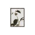 Picture of Romantic Blur Peony II _GroupedProduct_Rectangle_Portrait_Photography _GroupedProduct_Rectangle_Portrait_Canvas_Framed_