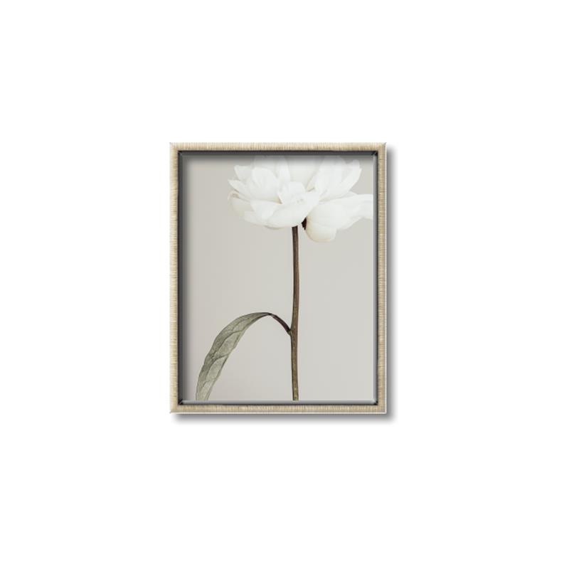 Picture of Romantic Blur Peony I _GroupedProduct_Rectangle_Portrait_Photography _GroupedProduct_Rectangle_Portrait_Canvas_Framed_
