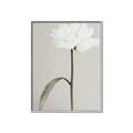 Picture of Romantic Blur Peony I _GroupedProduct_Rectangle_Portrait_Photography _GroupedProduct_Rectangle_Portrait_Canvas_Framed_