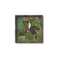 Picture of Tropical Paradise Toucan Bird _GroupedProduct_Square_Canvas_Framed_