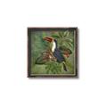 Picture of Tropical Paradise Toucan Bird _GroupedProduct_Square_Canvas_Framed_