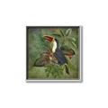 Picture of Tropical Paradise Toucan Bird _GroupedProduct_Square_Canvas_Framed_