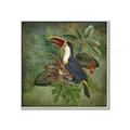 Picture of Tropical Paradise Toucan Bird _GroupedProduct_Square_Canvas_Framed_