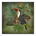 Picture of Tropical Paradise Toucan Bird _GroupedProduct_Square_Canvas_Framed_