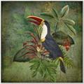 Picture of Tropical Paradise Toucan Bird _GroupedProduct_Square_Canvas_Framed_