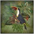 Picture of Tropical Paradise Toucan Bird _GroupedProduct_Square_Canvas_Framed_