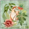 Picture of Tropical Paradise Cockatoos Bird _GroupedProduct_Square_Canvas_Framed_