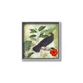Picture of Tropical Paradise Birds Garden _GroupedProduct_Square_Canvas_Framed_