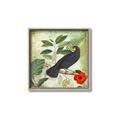 Picture of Tropical Paradise Birds Garden _GroupedProduct_Square_Canvas_Framed_