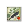 Picture of Tropical Paradise Birds Garden _GroupedProduct_Square_Canvas_Framed_