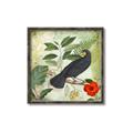 Picture of Tropical Paradise Birds Garden _GroupedProduct_Square_Canvas_Framed_