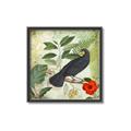 Picture of Tropical Paradise Birds Garden _GroupedProduct_Square_Canvas_Framed_