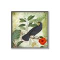 Picture of Tropical Paradise Birds Garden _GroupedProduct_Square_Canvas_Framed_