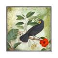 Picture of Tropical Paradise Birds Garden _GroupedProduct_Square_Canvas_Framed_