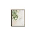 Picture of Few Olive Tree Leaves _GroupedProduct_Rectangle_Portrait_Photography _GroupedProduct_Rectangle_Portrait_Canvas_Framed_