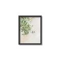 Picture of Few Olive Tree Leaves _GroupedProduct_Rectangle_Portrait_Photography _GroupedProduct_Rectangle_Portrait_Canvas_Framed_