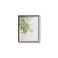 Picture of Few Olive Tree Leaves _GroupedProduct_Rectangle_Portrait_Photography _GroupedProduct_Rectangle_Portrait_Canvas_Framed_