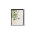 Picture of Few Olive Tree Leaves _GroupedProduct_Rectangle_Portrait_Photography _GroupedProduct_Rectangle_Portrait_Canvas_Framed_